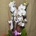 Phalaenopsis blanca - Imagen 2