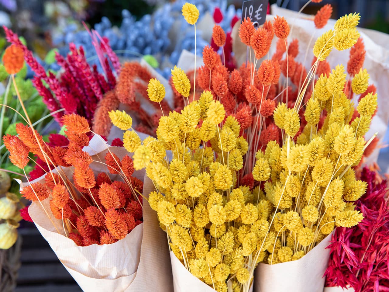 Flores preservadas