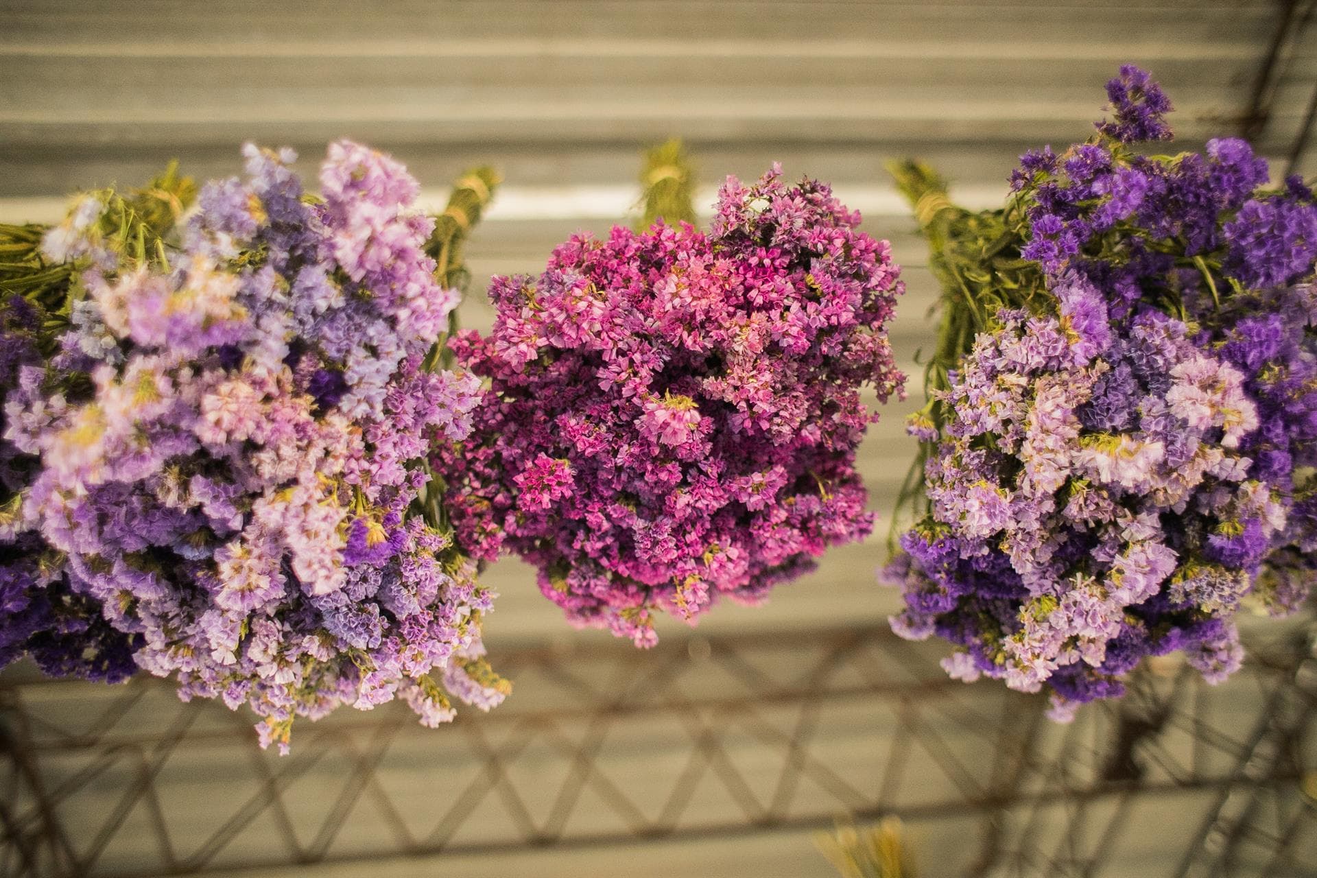 Máxima comodidad y rapidez al enviar las flores preservadas online