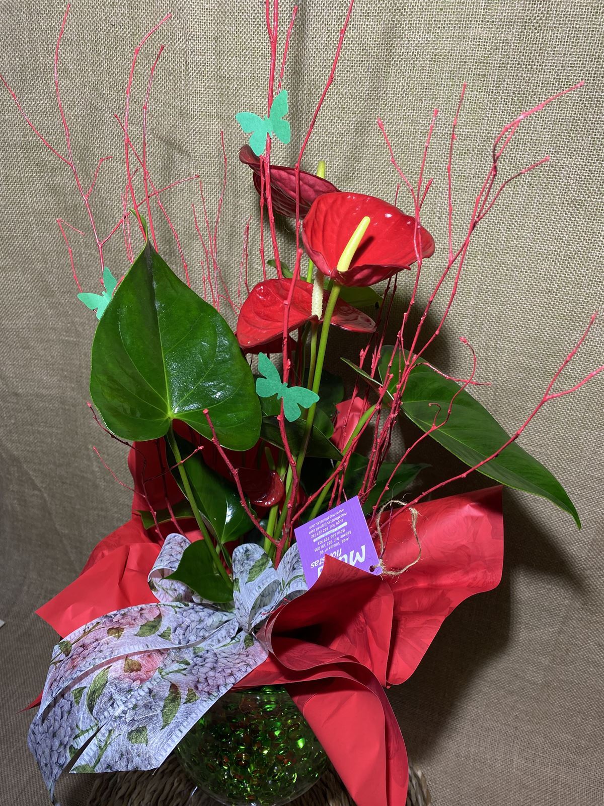 Anthurium en copa - Imagen 3