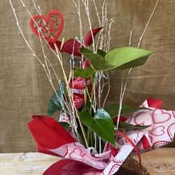 Anturium rojo - Imagen 1