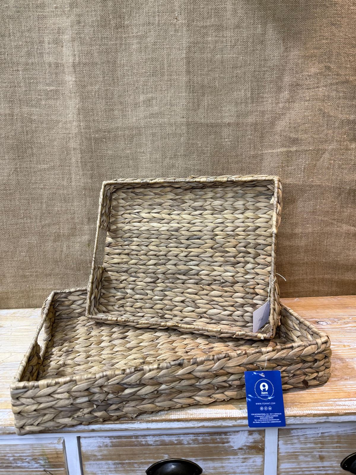 Bandeja jacinto de agua - Imagen 1