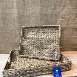 Bandeja jacinto de agua - Imagen 1