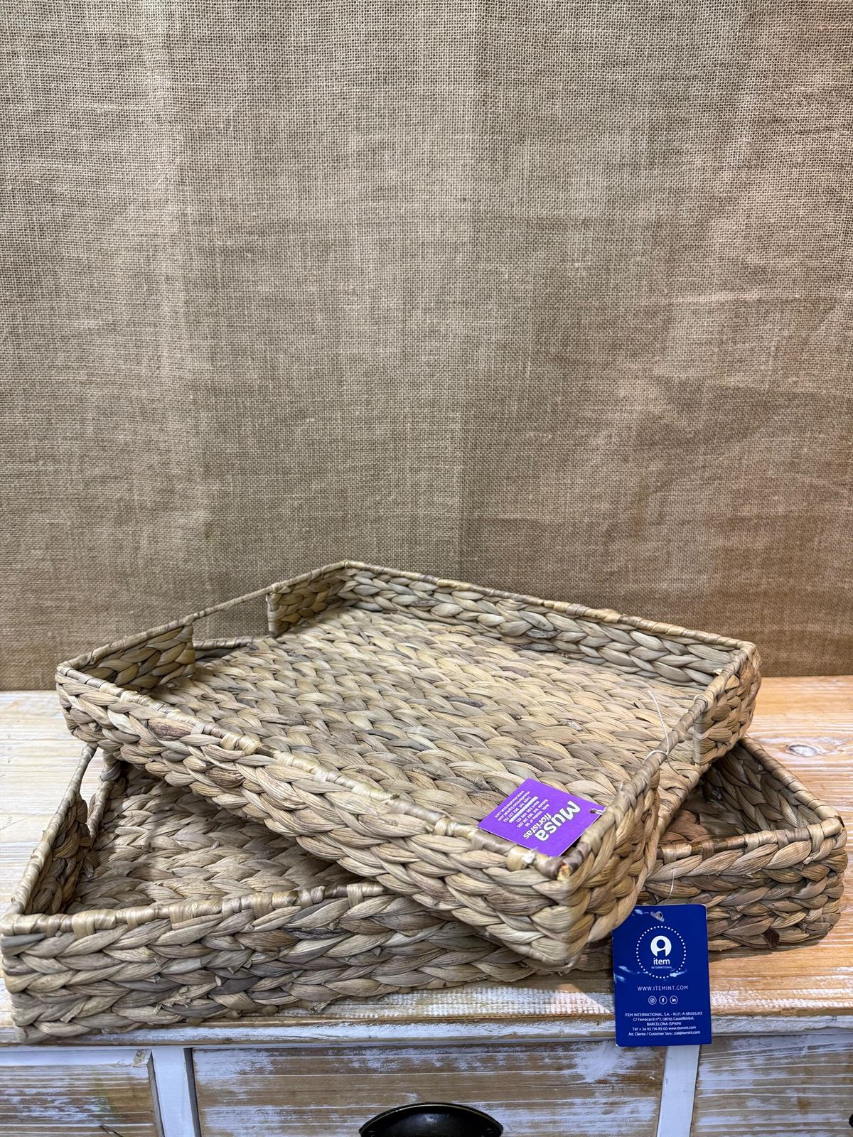 Bandeja jacinto de agua - Imagen 2