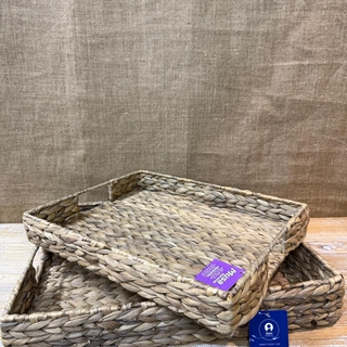 Bandeja jacinto de agua - Imagen 2