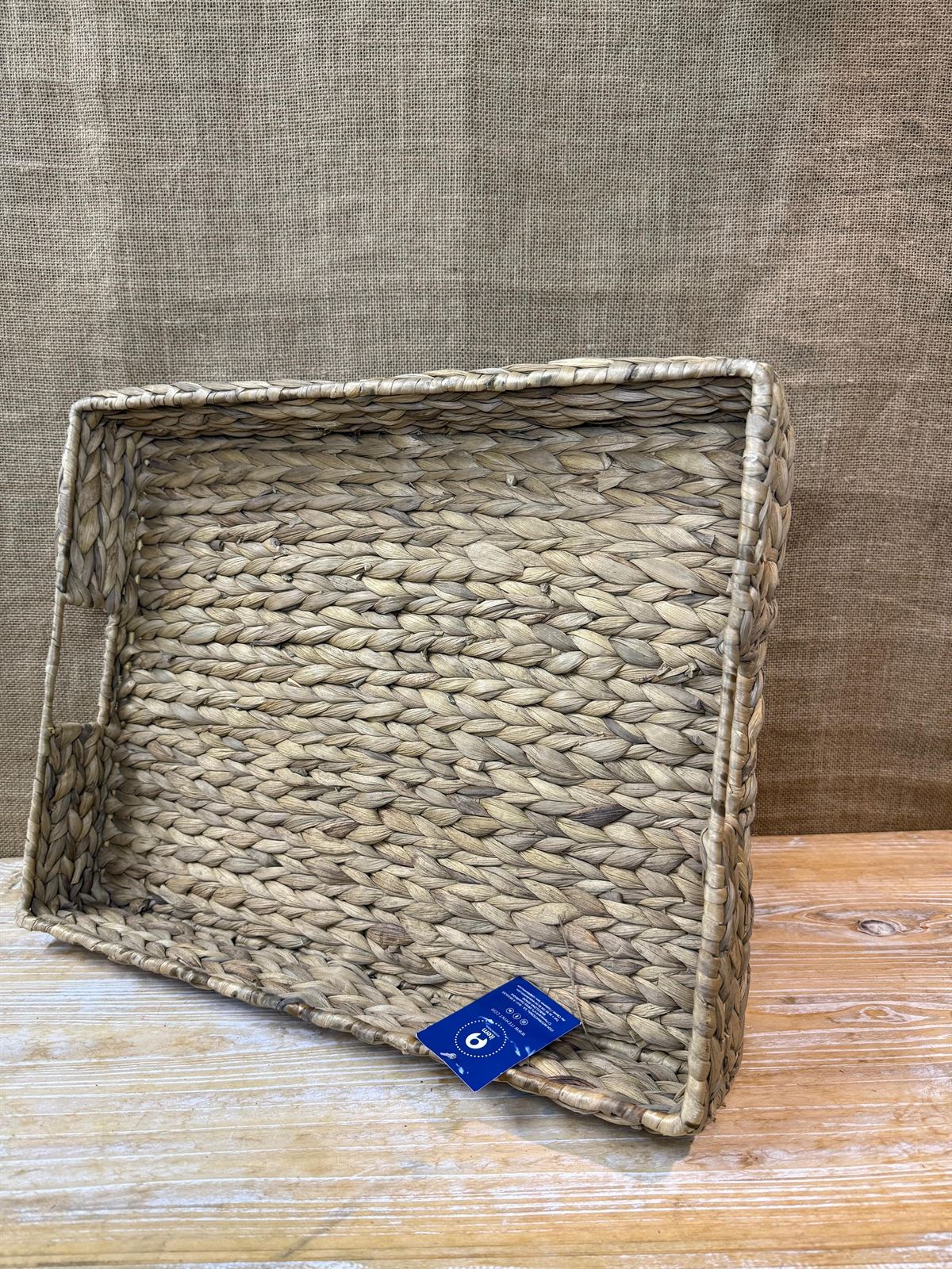 Bandeja jacinto de agua - Imagen 5