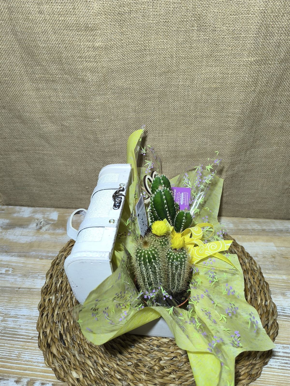 Baúl blanco con cactus - Imagen 1