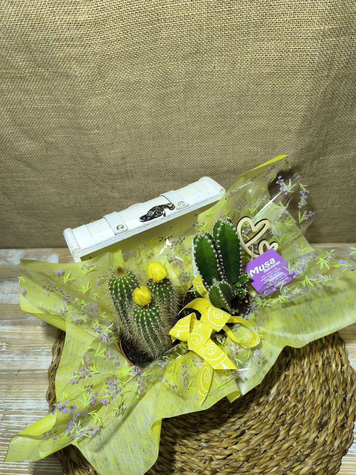 Baúl blanco con cactus - Imagen 2