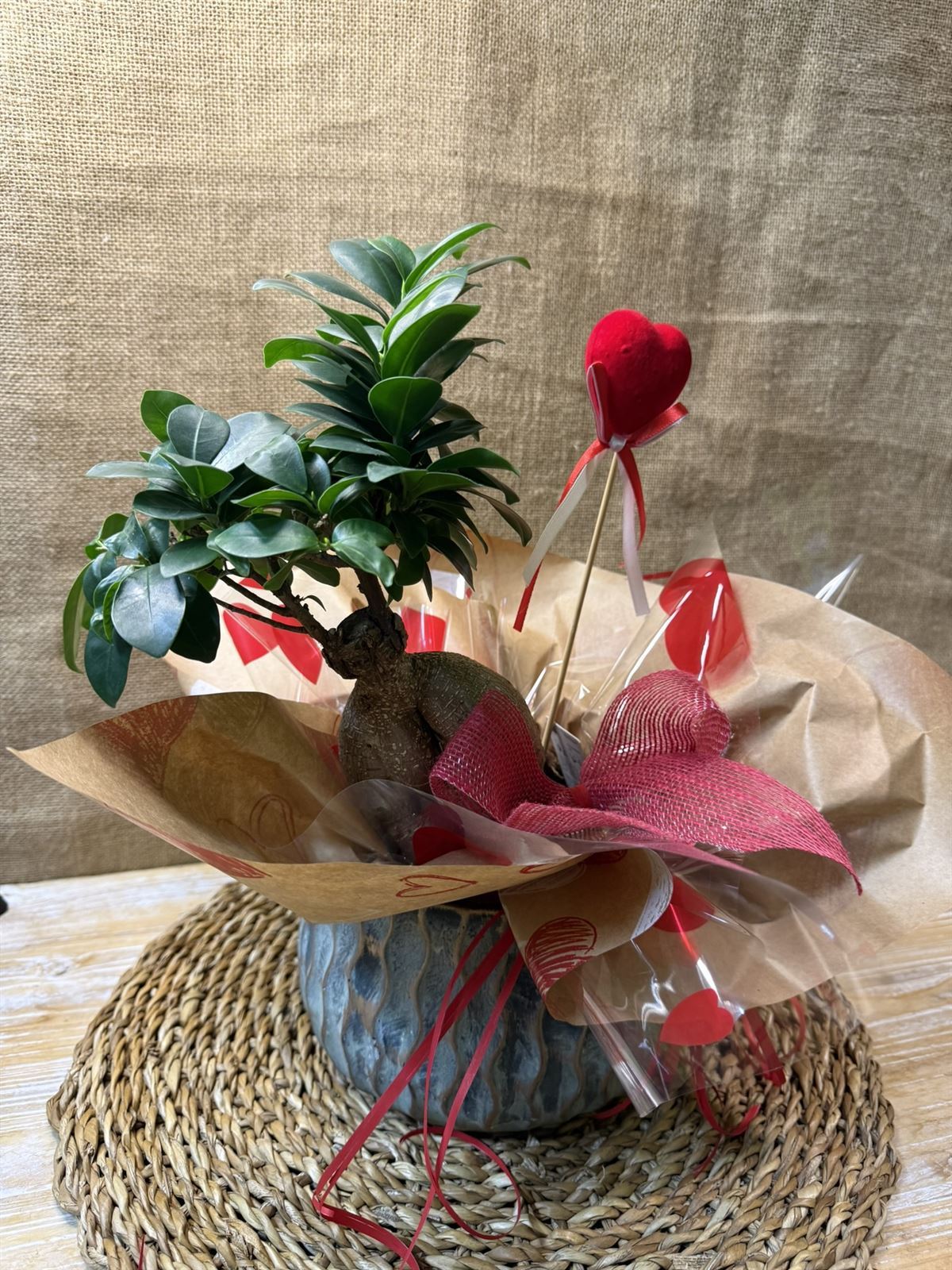 BONS Ginseng Cerámica - Imagen 1