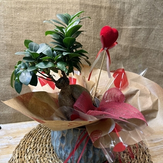 BONS Ginseng Cerámica - Imagen 1