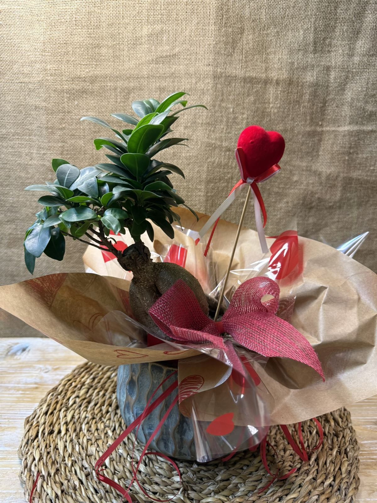 BONS Ginseng Cerámica - Imagen 2