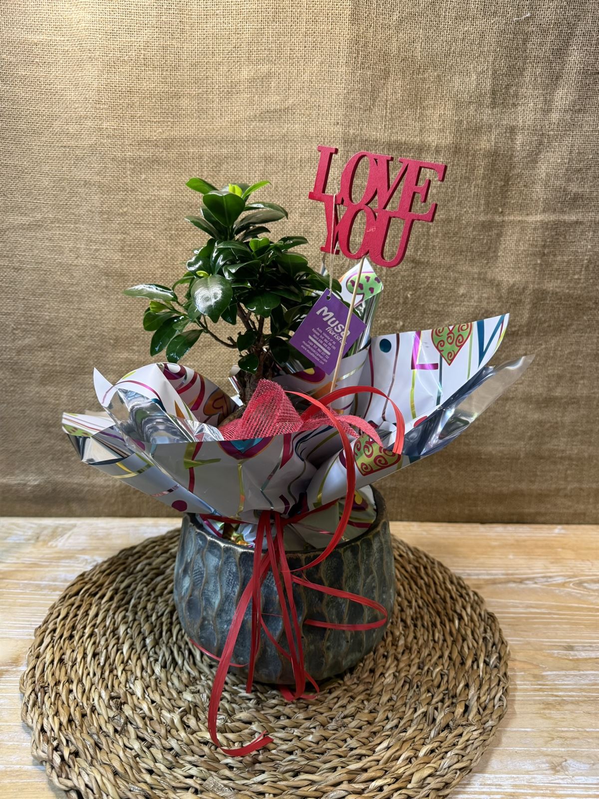 BONS Ginseng Cerámica - Imagen 1