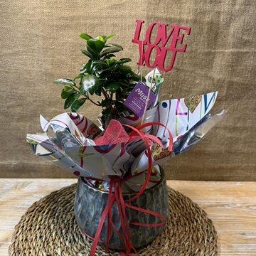 BONS Ginseng Cerámica - Imagen 1