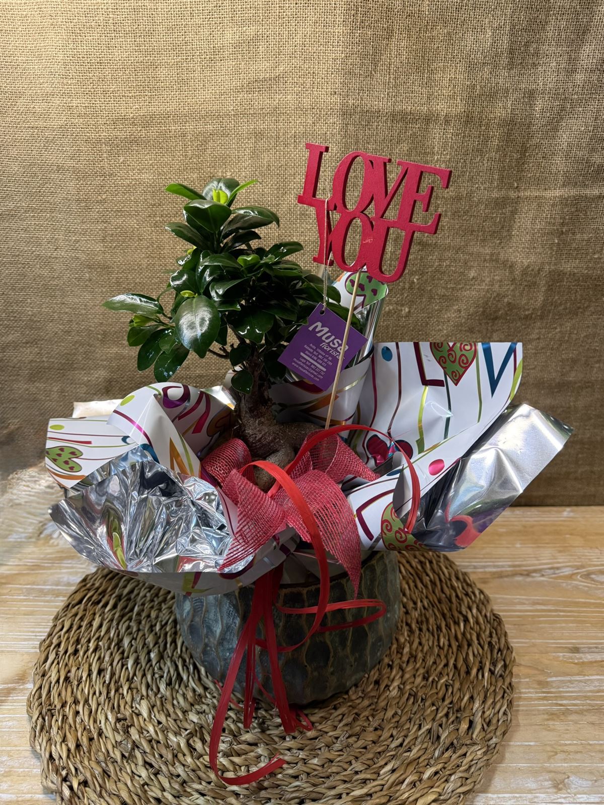 BONS Ginseng Cerámica - Imagen 2