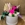 Caja blanca con 2 rosas fucsia - Imagen 1