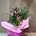 Cala fucsia - Imagen 1
