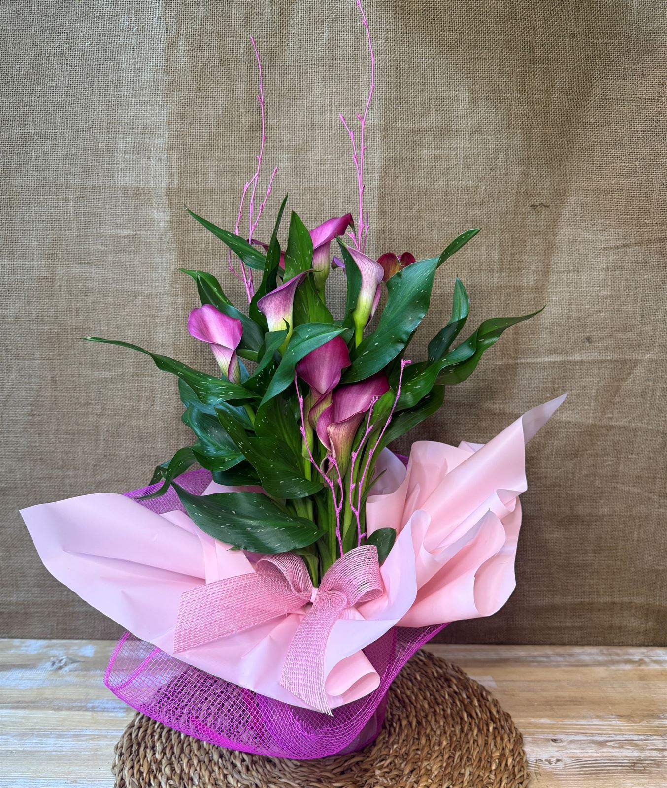 Cala fucsia - Imagen 3