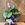 Calathea (C) - Imagen 1