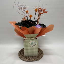 Calathea crocata con bolsa - Imagen 1