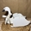Cisne de madera - Imagen 2