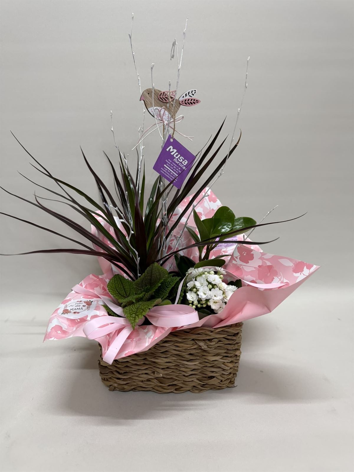 Composición de plantas en cesta de mimbre tonos rosa - Imagen 1