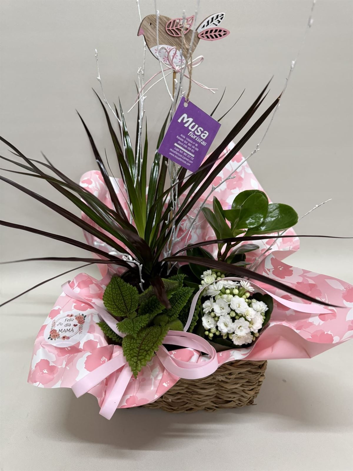 Composición de plantas en cesta de mimbre tonos rosa - Imagen 2