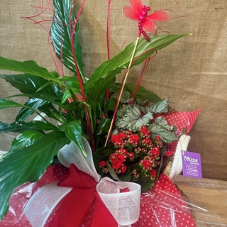 Composición en base de algodón en tonos rojos - Imagen 2