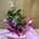 Composición en cesta de mimbre en tonos fucsias - Imagen 1