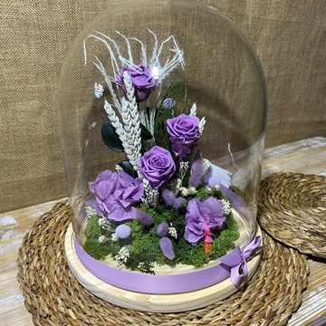 Cúpula ancha lila - Imagen 2