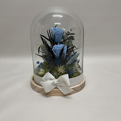 Cúpula en tonos azul claro - Imagen 2