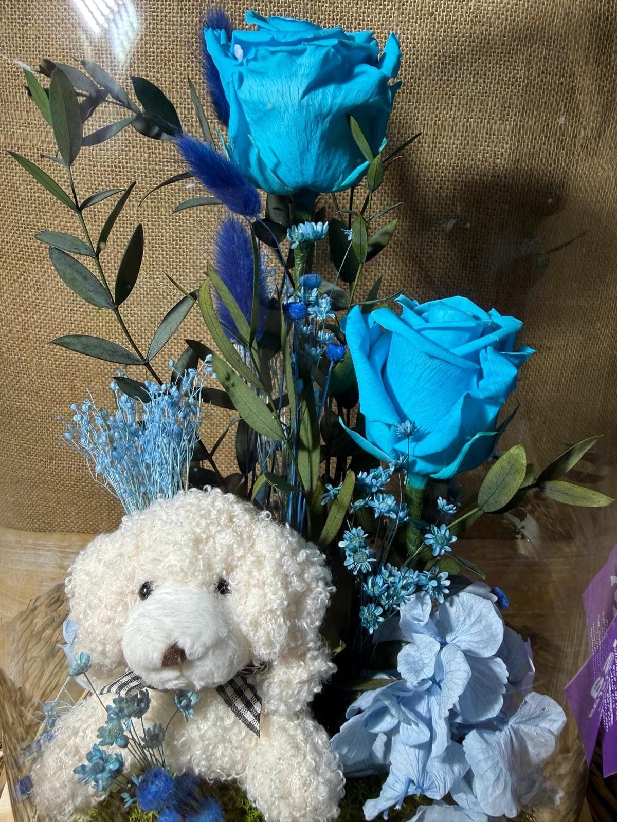 Cúpula en tonos azul con peluche - Imagen 2