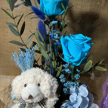 Cúpula en tonos azul con peluche - Imagen 2