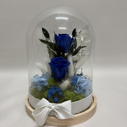 Cúpula en tonos azul oscuro - Imagen 1