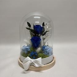 Cúpula en tonos azul oscuro - Imagen 2