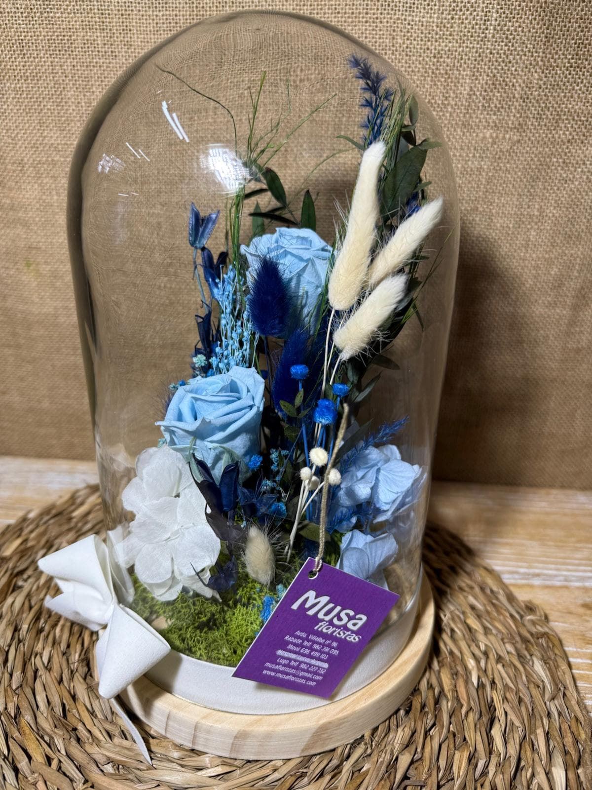 Cúpula en tonos azules - Imagen 1