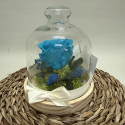 Cúpula en tonos azules - Imagen 1