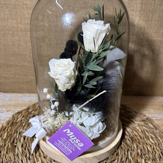 Cúpula en tonos beis - Imagen 1