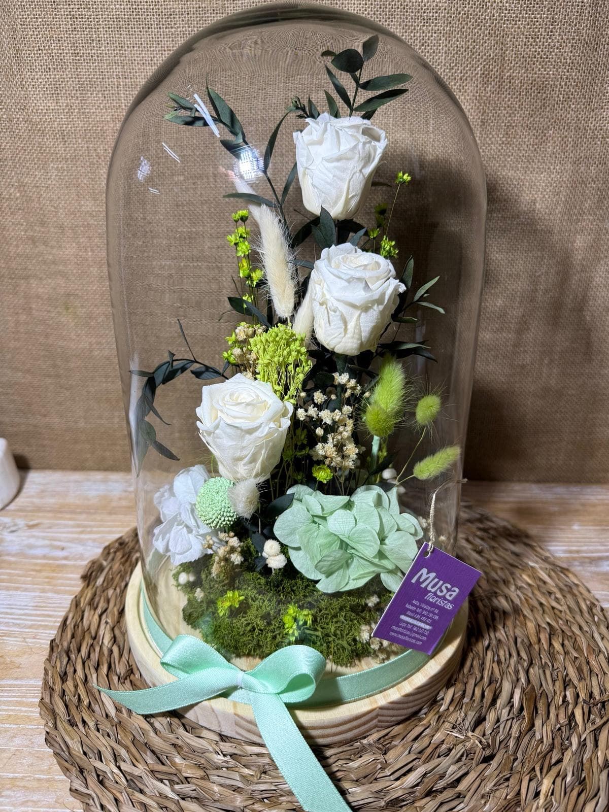 Cúpula en tonos blancos - Imagen 1