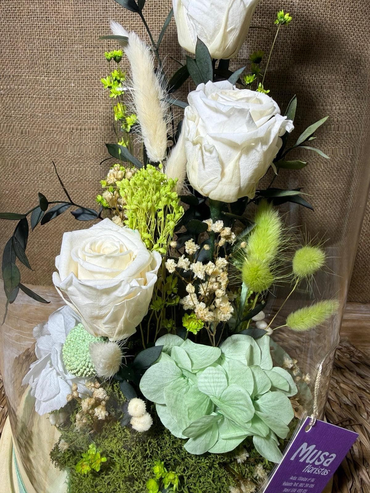 Cúpula en tonos blancos - Imagen 2