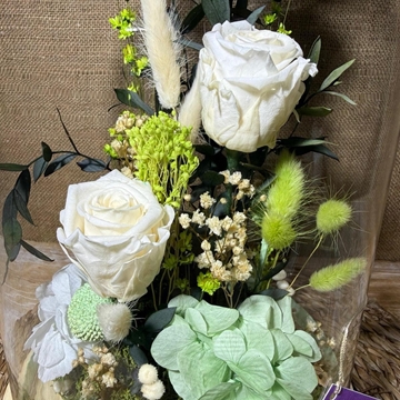 Cúpula en tonos blancos - Imagen 2