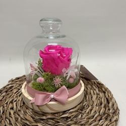 Cúpula en tonos fucsia - Imagen 1