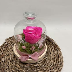 Cúpula en tonos fucsia - Imagen 2