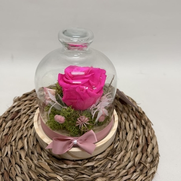 Cúpula en tonos fucsia - Imagen 2