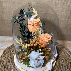 Cúpula en tonos melocotón - Imagen 2