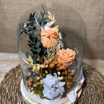 Cúpula en tonos melocotón - Imagen 2