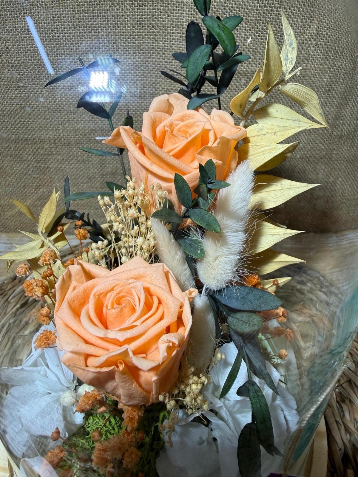 Cúpula en tonos melocotón - Imagen 3