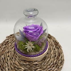 Cúpula en tonos morados - Imagen 2