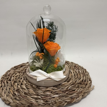 Cúpula en tonos naranjas - Imagen 1