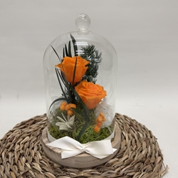 Cúpula en tonos naranjas - Imagen 2