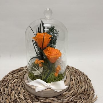 Cúpula en tonos naranjas - Imagen 2